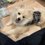 Yusuke